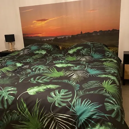 L'alsacienne Apartment *